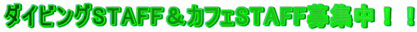 _CrOSTAFFJtFSTAFFWII