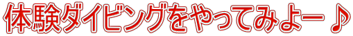̌_CrOĂ݂[