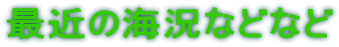 最近の海況などなど