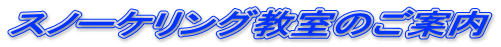 Xm[PÔē