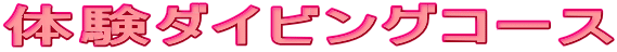 体験ダイビングコース 