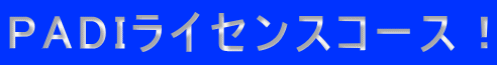 PADIライセンスコース！