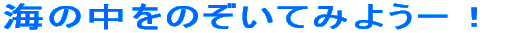 `C̒̂Ă݂悤` 