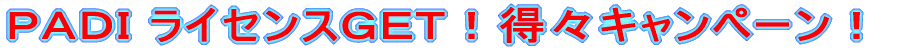○ＰＡＤＩ ライセンスコース 